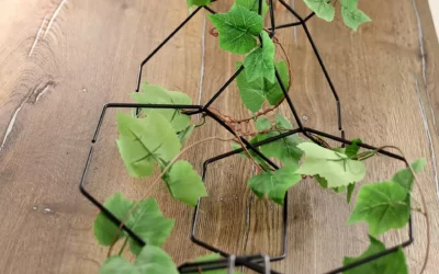 Médecine naturelle à Étival-Clairefontaine : une alternative intéressante !